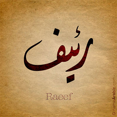 Raeef