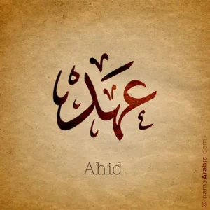 Ahid name with Arabic Calligraphy Ijazah style