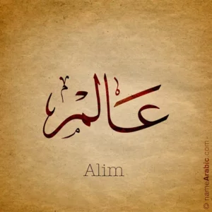 Alim Name Design