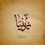 Zinia Name design