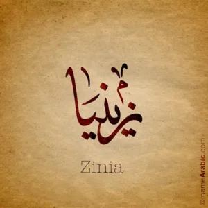 Zinia Name design