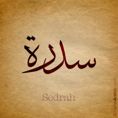 Sedrah name with Arabic calligraphy, Thuluth style - تصميم اسم سدرة بالخط العربي ، تصميم بخط الثلث - ابحث عن التصميم الاسماء هنا