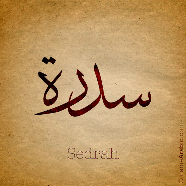 Sedrah name with Arabic calligraphy, Thuluth style - تصميم اسم سدرة بالخط العربي ، تصميم بخط الثلث - ابحث عن التصميم الاسماء هنا
