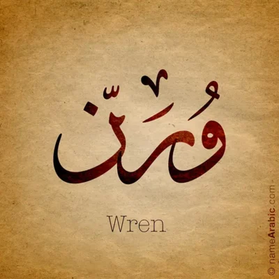 Wren name with Arabic calligraphy, Ijazah style - تصميم اسم ورن بالخط العربي ، تصميم بخط الاجازة - ابحث عن التصميم الاسماء هنا