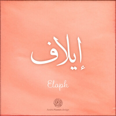 Elaph name with Arabic Calligraphy Thuluth style - تصميم اسم إيلاف بالخط العربي، تصميم بخط الثلث - ابحث عن تصاميم الأسماء في هذا الموقع