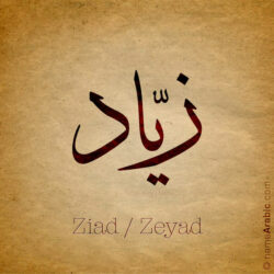 Ziad name with Arabic Calligraphy Thuluth style - تصميم اسم زياد بالخط العربي، تصميم بخط الثلث - ابحث عن تصاميم الأسماء في هذا الموقع